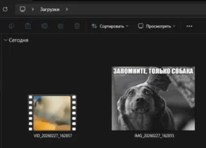 57995e986302008071c05576b7bbfcd7.webp