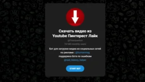 dfb6593bc69a31e9b5af08449dbe27d3.webp