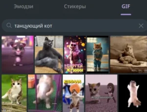 07b23e9cc7907001b3d78f353c528009.webp
