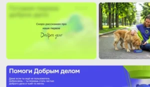 9ce085e8ef46fe078982a82f8486616c.webp